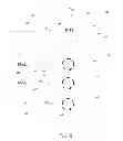 Fig. 07 - Amplifier dynamic bias adjustment for envelope tracking