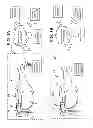 Fig. 02 - Display update time reduction for a near-eye display