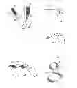 Fig. 04 - Tool and method for emulating flat-tip brush