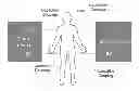 Fig. 01 - Device-to-device communications based on capacitive sensing and coupling via human body or direct device-to-device coupling