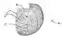 Fig. 01 - Tessellation of a parameterized 3D modeled object