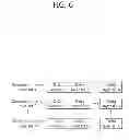 Fig. 07 - Video encoding and decoding method and apparatus using the same