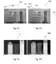 Fig. 06 - Single-sensor system for extracting depth information from image blur