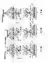 Fig. 05 - Image processing apparatus, image processing method and recording medium