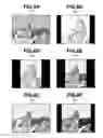 Fig. 07 - Imaging apparatus and method for capturing a group of images composed of a plurality of images and displaying them in review display form