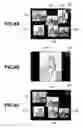 Fig. 09 - Imaging apparatus and method for capturing a group of images composed of a plurality of images and displaying them in review display form