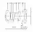 Fig. 01 - Inner focus lens system, interchangeable lens apparatus and camera system