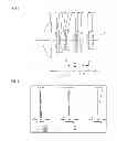 Fig. 06 - Inner focus lens system, interchangeable lens apparatus and camera system
