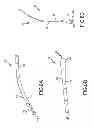 Fig. 06 - EYEWEAR AND EYEWEAR FRAMES WITH CONTOURED TEMPLES