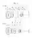 Fig. 06 - Image display device