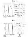 Fig. 06 - Zoom lens, imaging device and information device