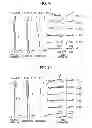 Fig. 15 - Zoom lens, imaging device and information device