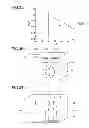 Fig. 28 - Zoom lens, imaging device and information device