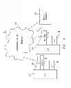 Fig. 02 - Power line grid