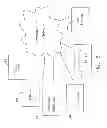 Fig. 06 - Power line grid