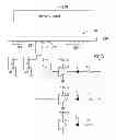 Fig. 01 - Computer system having capacity indication function of serial advanced technology attachment dual in-line memory module device