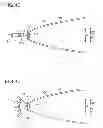 Fig. 24 - Lighting apparatus, headlamp, and mobile body