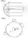 Fig. 41 - Lighting apparatus, headlamp, and mobile body