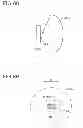 Fig. 44 - Lighting apparatus, headlamp, and mobile body