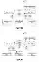 Fig. 05 - SYNCHRONIZING STATE AMONG LOAD BALANCER COMPONENTS