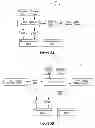 Fig. 06 - SYNCHRONIZING STATE AMONG LOAD BALANCER COMPONENTS