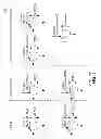 Fig. 02 - Method and apparatus for supporting uplink starvation avoidance in a long term evolution system