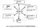 Fig. 01 - SYSTEM AND METHOD FOR COLLECTING, REPORTING, AND ANALYZING DATA ON APPLICATION-LEVEL ACTIVITY AND OTHER USER INFORMATION ON A MOBILE DATA NETWORK