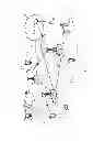 Fig. 02 - Backhaul traffic reliability in unlicensed bands using spectrum sensing and channel reservation