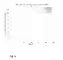 Fig. 07 - Empty Page Detection Technique