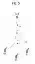 Fig. 06 - Apparatus and method of managing radio bearer in wireless communication system