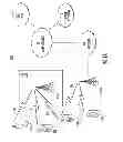 Fig. 02 - Method and apparatus for providing very high throughput operation and capability signaling for wireless communications