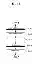 Fig. 12 - Method and apparatus for transmitting a reference signal in a wireless communication system