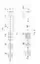 Fig. 17 - Radio base station and user equipment and methods therein