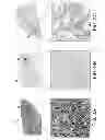 Fig. 04 - Generating image-based diagnostic tests by optimizing image analysis and data mining of co-registered images