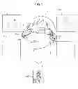 Fig. 06 - Information processing apparatus and recording medium