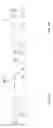 Fig. 06 - Non-semaphore linked list management
