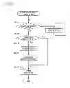 Fig. 07 - SHEET CONVEYING APPARATUS