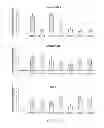 Fig. 02 - COMPOSITIONS FOR DIRECTING ADIPOSE-DERIVED STEM CELLS TO A CHONDROGENIC DIFFERENTIATION AND METHODS OF USE THEREFOR