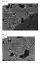Fig. 07 - Beta sheet tapes ribbons in tissue engineering