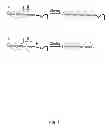 Fig. 02 - COAGULATION FACTOR IX COMPOSITIONS AND METHODS OF MAKING AND USING SAME