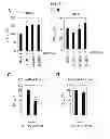 Fig. 06 - METHOD FOR TREATMENT OF DEGENERATIVE BRAIN DISORDERS COMPRISING INHIBITOR OF SUM01 AND BACE1 INTERACTION AS AN ACTIVE INGREDIENT
