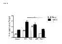 Fig. 07 - COMPOSITIONS TARGETING PKC-THETA AND USES AND METHODS OF TREATING PKC-THETA PATHOLOGIES, ADVERSE IMMUNE RESPONSES AND DISEASES