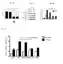 Fig. 09 - COMPOSITIONS TARGETING PKC-THETA AND USES AND METHODS OF TREATING PKC-THETA PATHOLOGIES, ADVERSE IMMUNE RESPONSES AND DISEASES