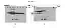 Fig. 03 - METHODS FOR STABILIZING INFLUENZA ANTIGEN ENVELOPED VIRUS-BASED VIRUS-LIKE PARTICLE SOLUTIONS