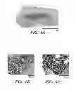 Fig. 08 - Methods and uses for ex vivo tissue culture systems
