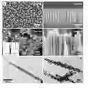 Fig. 01 - Catalytic delivery nanosubstrates (CDNS) for highly efficient delivery of biomolecules
