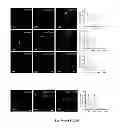 Fig. 08 - Catalytic delivery nanosubstrates (CDNS) for highly efficient delivery of biomolecules