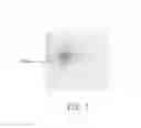 Fig. 07 - Recombinant protein, pharmaceutical composition containing the same, and method of biosynthesizing