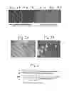 Fig. 02 - Cochleate compositions directed against expression of proteins