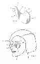 Fig. 09 - Cosmetic treatment system and methods